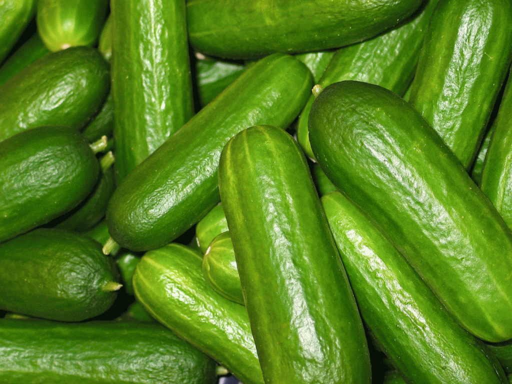 cucumbers-2446470_550px