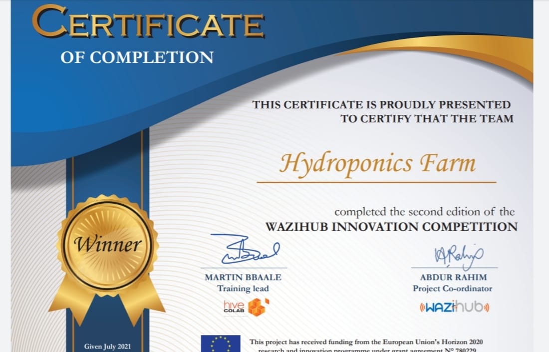 IOT European Prize Certificate