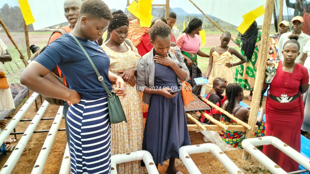 Hands-on Hydroponics Training