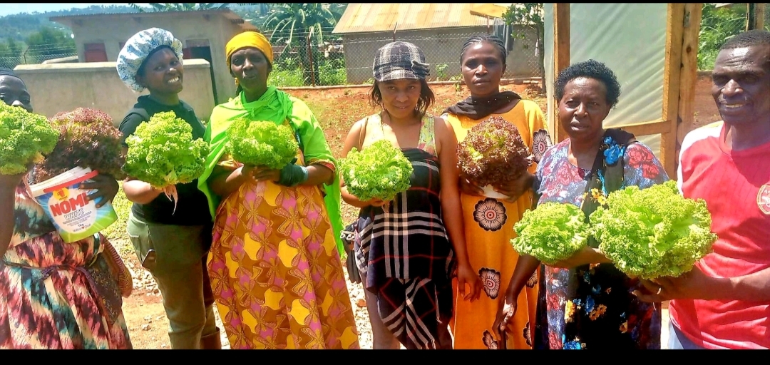 Farmers Harvesting Their Crops