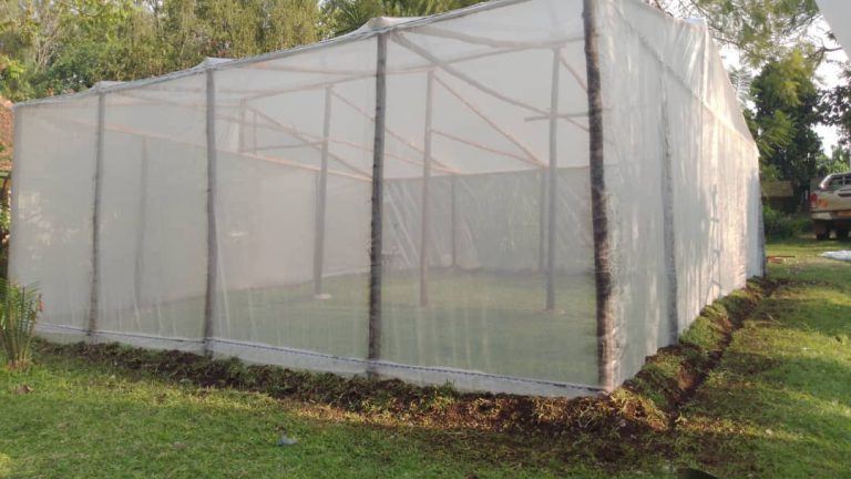 Hydroponic system pipes and pumps