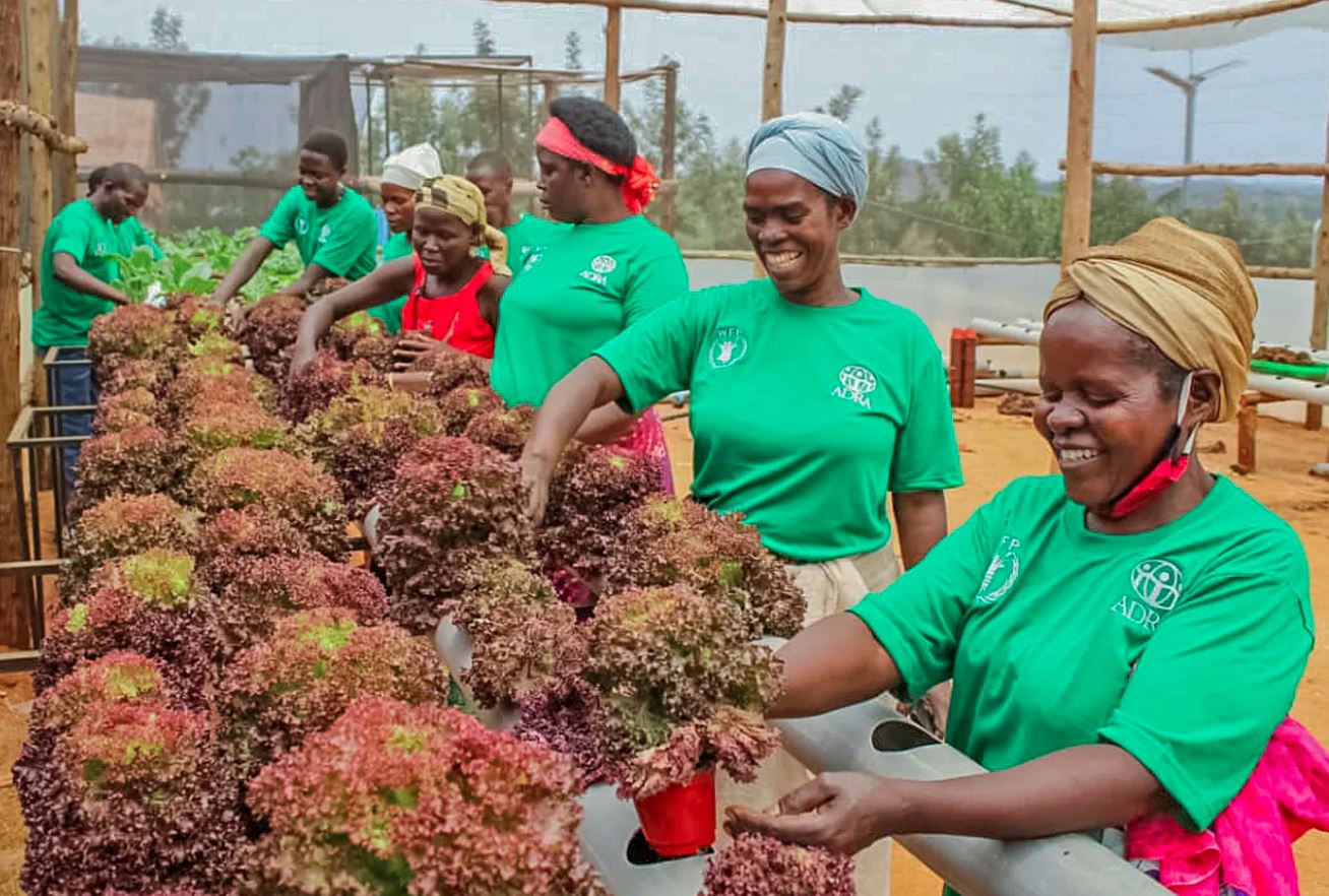 Hydroponic training in refugee setting