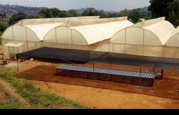 Greenhouse Construction