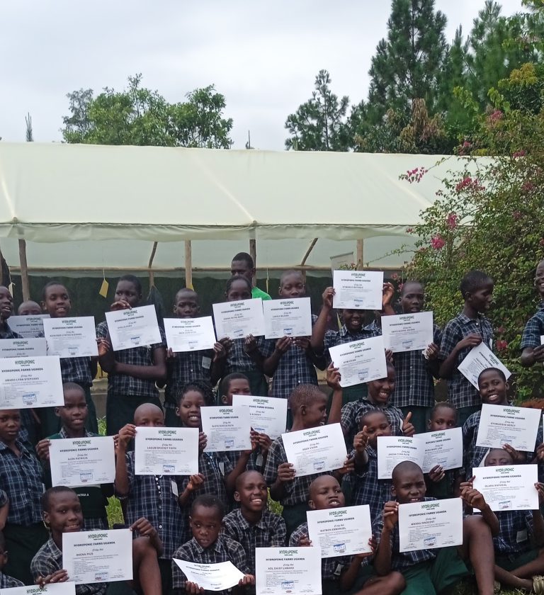 Hydroponic garden at Wakadogo School