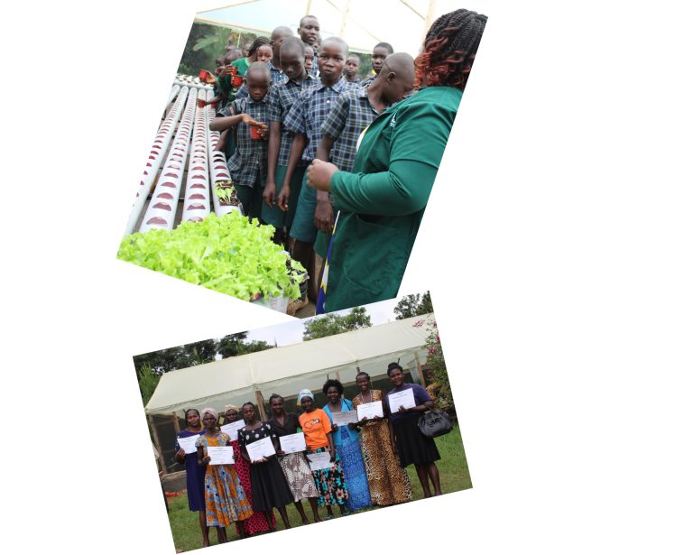 Modern Hydroponic Training Session