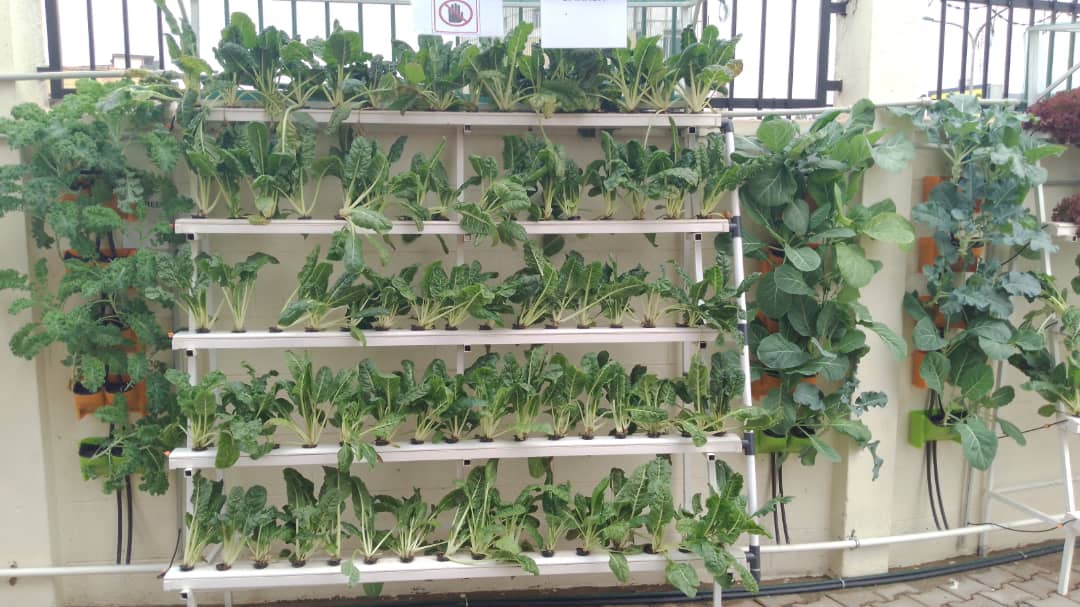 Hydroponic 140 Planter Garden
