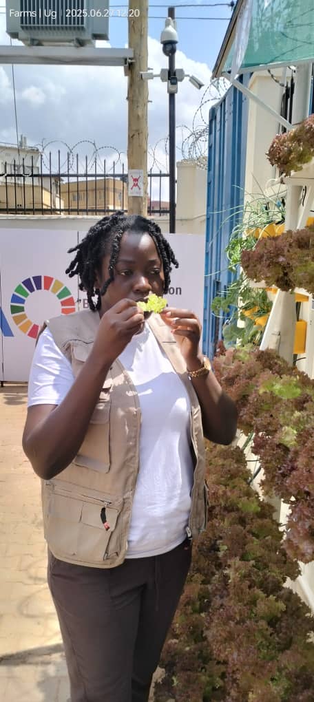 Hydroponic nutrient delivery system