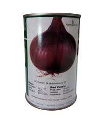 Onions