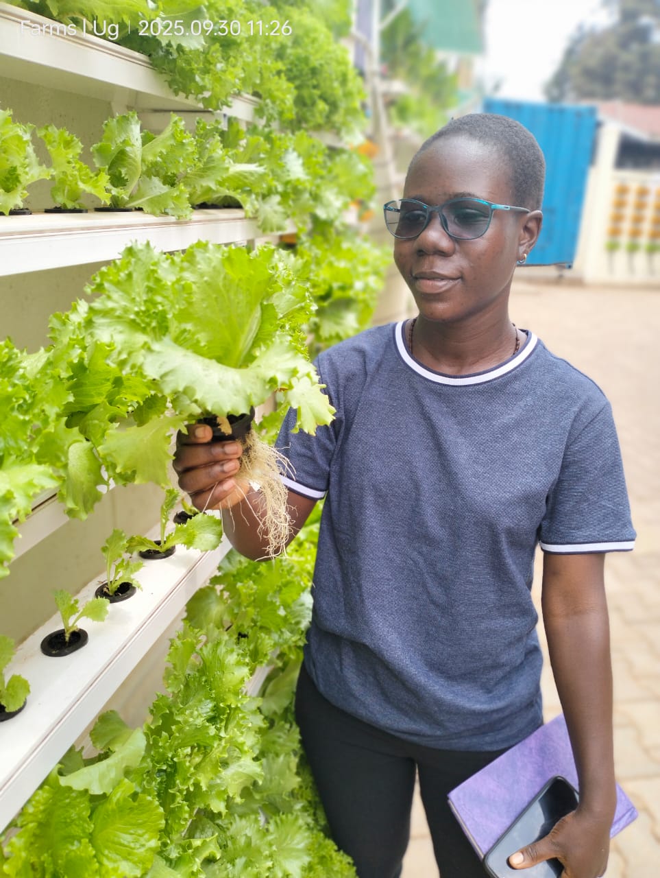 Community hydroponic workshop