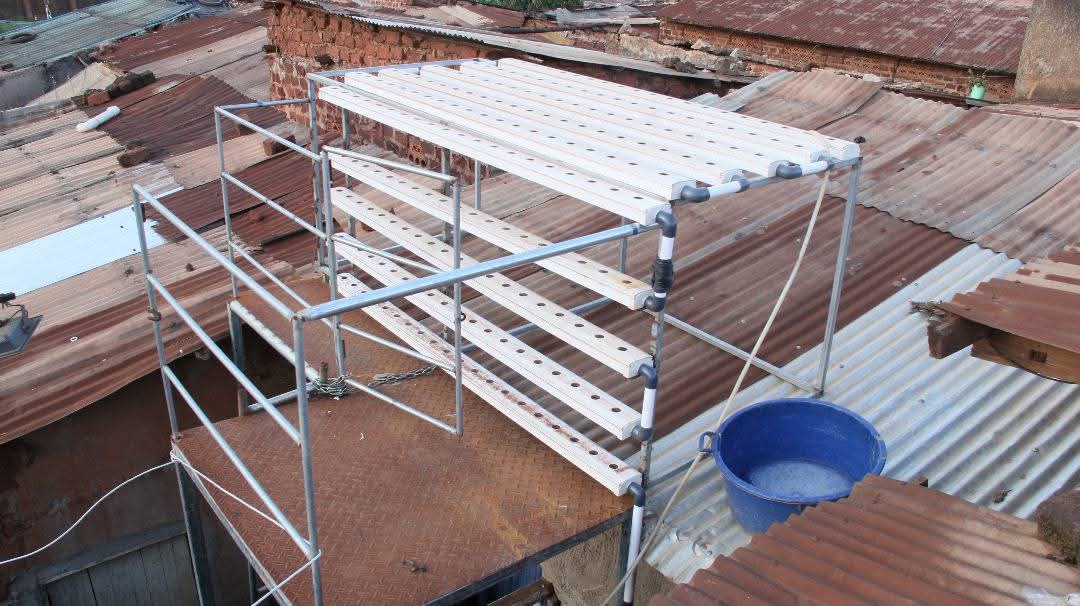 Urban hydroponics project
