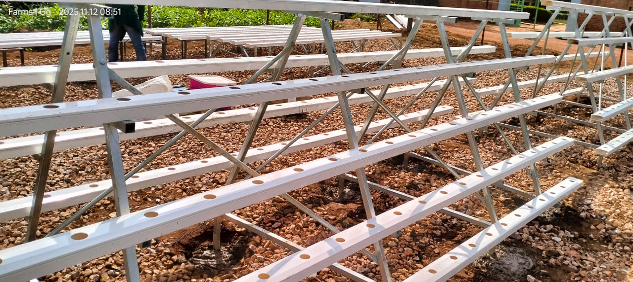 Community farm growth