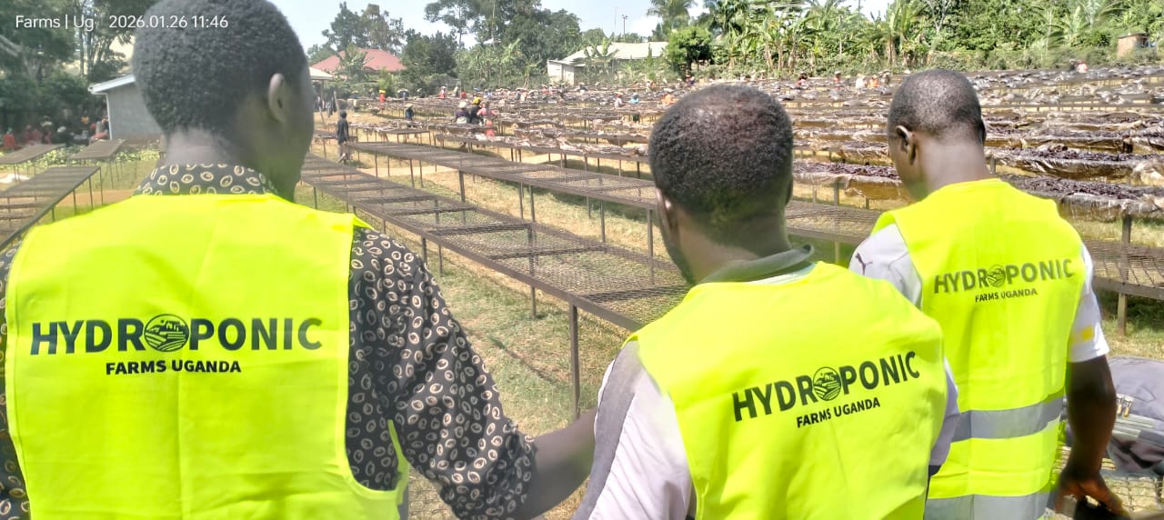 Greenhouse construction in progress Uganda
