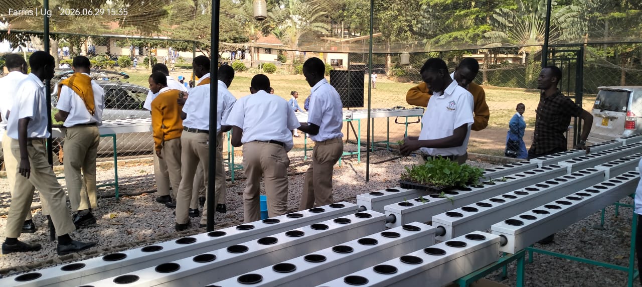 Students learning hydroponics at Wakadogo School Gulu