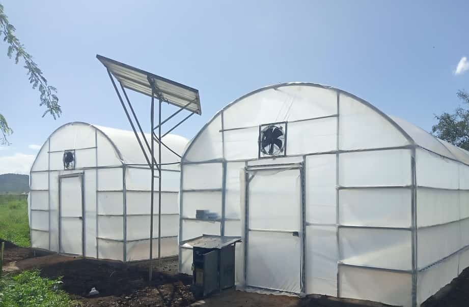Hybrid Solar Dryers for post-harvest processing in Uganda by Hydroponic Farms Uganda